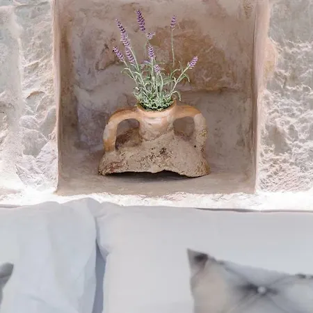 Luxury Studio Petra In 400 Year Old Stone House
