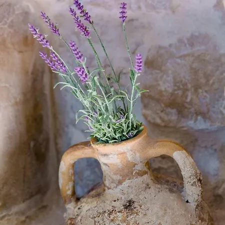 Apartman Luxury Studio Petra In 400 Year Old Stone House Split